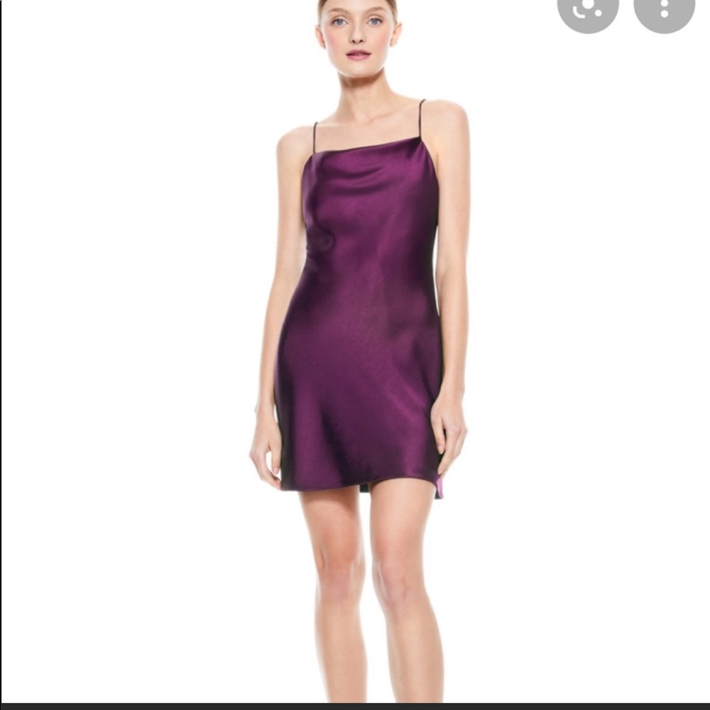 Alice + Olivia harmony slip dress sz 4